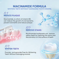 [Triple Whitening]Niacinamide Whitening Toothpaste,Natural Whitening Toothpaste with Niacinamide,Gentle Formula for Brighter Teeth & Fresh Breath.